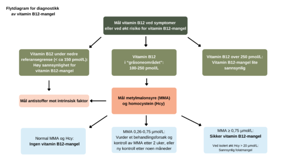 Vitamin B12-mangel - årsak, Symptomer Og Behandling - Blodsjekk