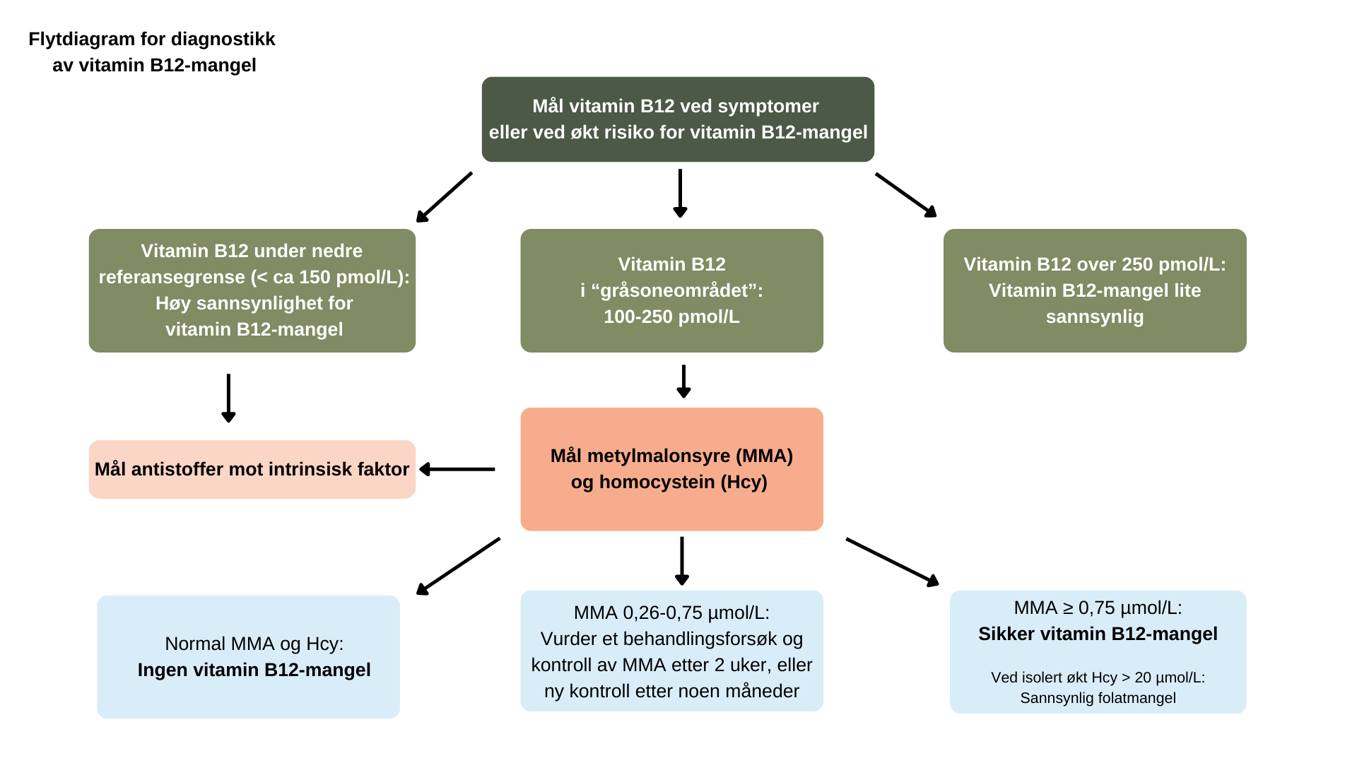 Vitamin B12-mangel - årsak, Symptomer Og Behandling - Blodsjekk