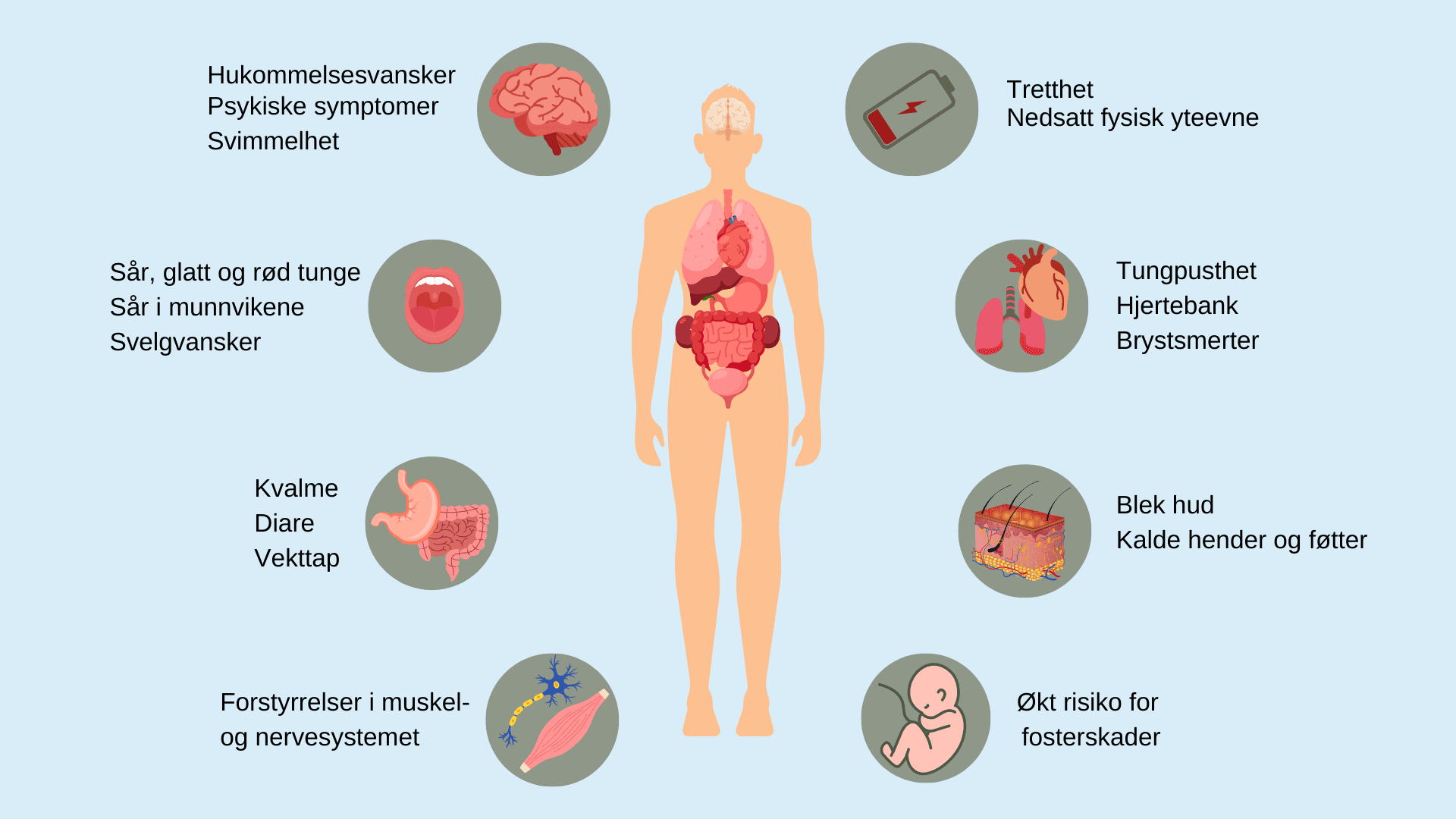 Folat, folsyre, vitamin B9 får du i deg nok? Blodsjekk