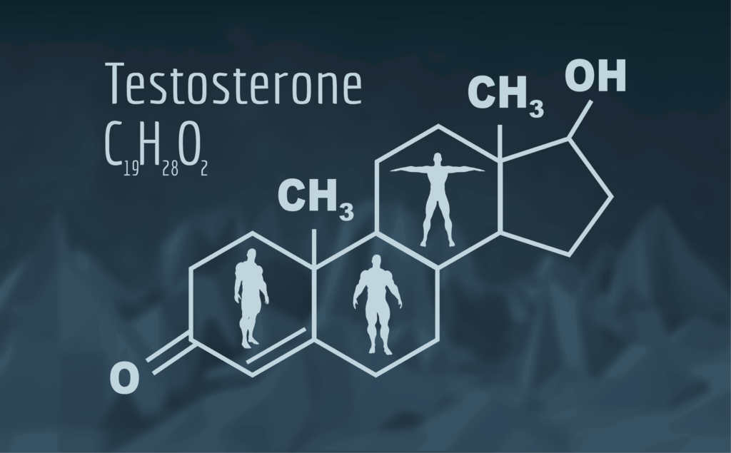 Testosteron er det viktigste mannlige kjønnshormonet.