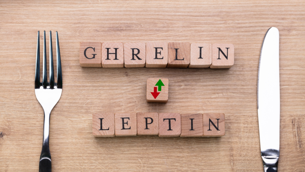Ghrelin stimulerer hjernens sultsenter, mens leptin påvirker metthetssenteret.