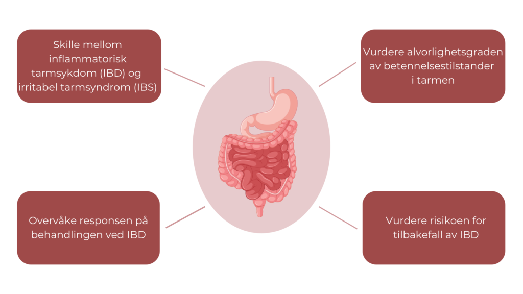 Fekal kalprotektin brukes for å skille mellom inflammatoriske tarmsykdommer (IBD) og funksjonelle tarmlidelser, samt i oppfølgingen hos personer aom allerede har påvist IBD.