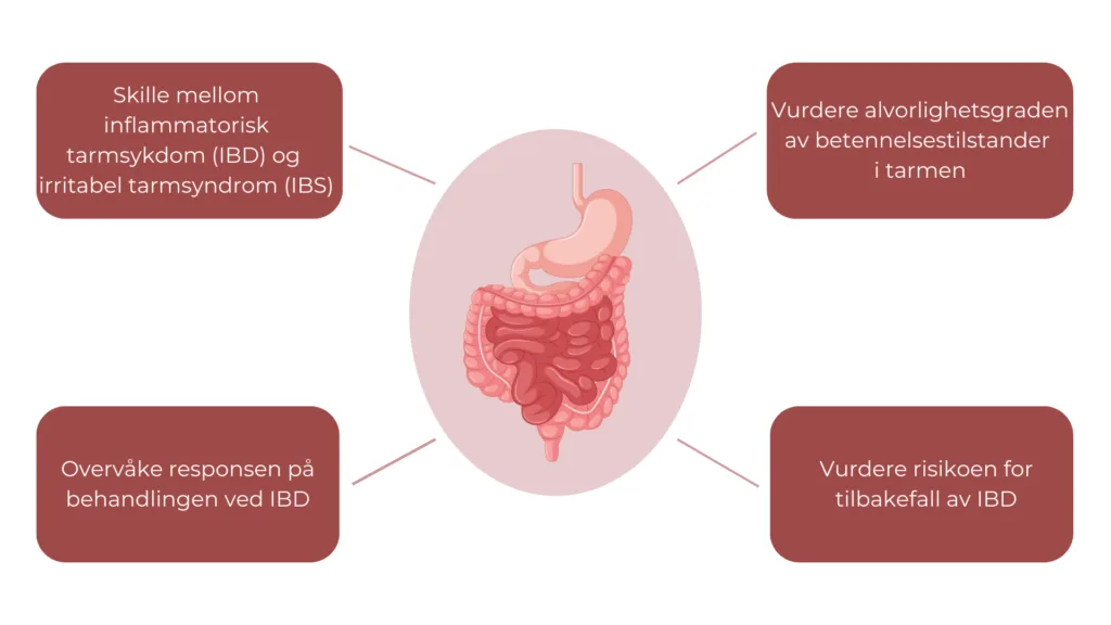 Fekal kalprotektin brukes for å skille mellom inflammatoriske tarmsykdommer (IBD) og funksjonelle tarmlidelser, samt i oppfølgingen hos personer aom allerede har påvist IBD.