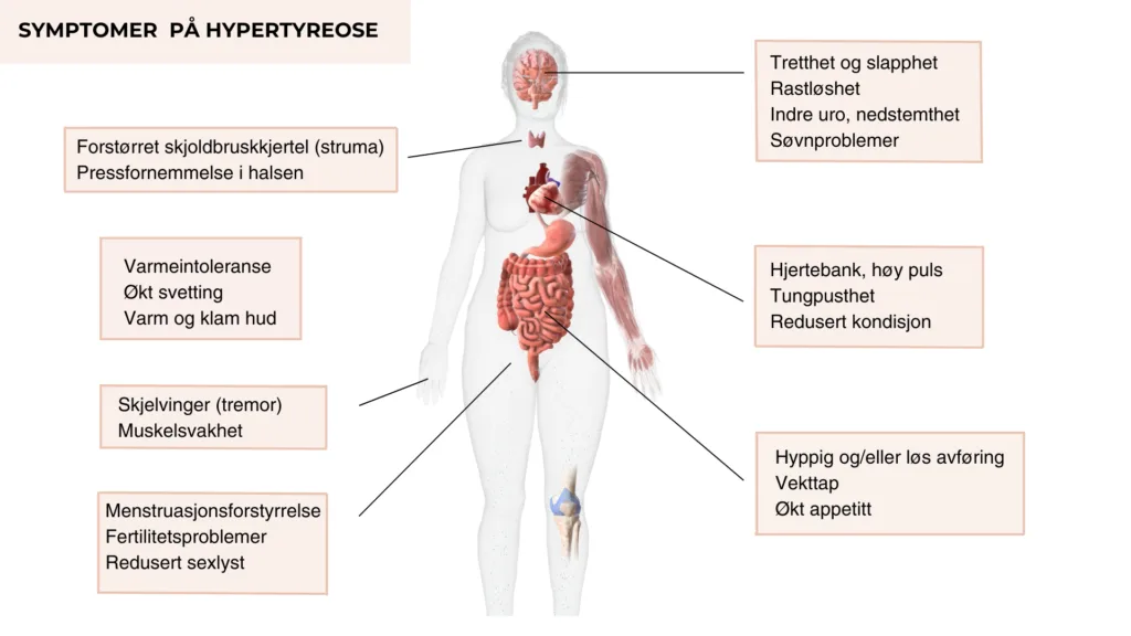 Ved høyt stoffskifte vil de fleste kroppslige funksjonene gå raskere – «kroppen går på høygir». 